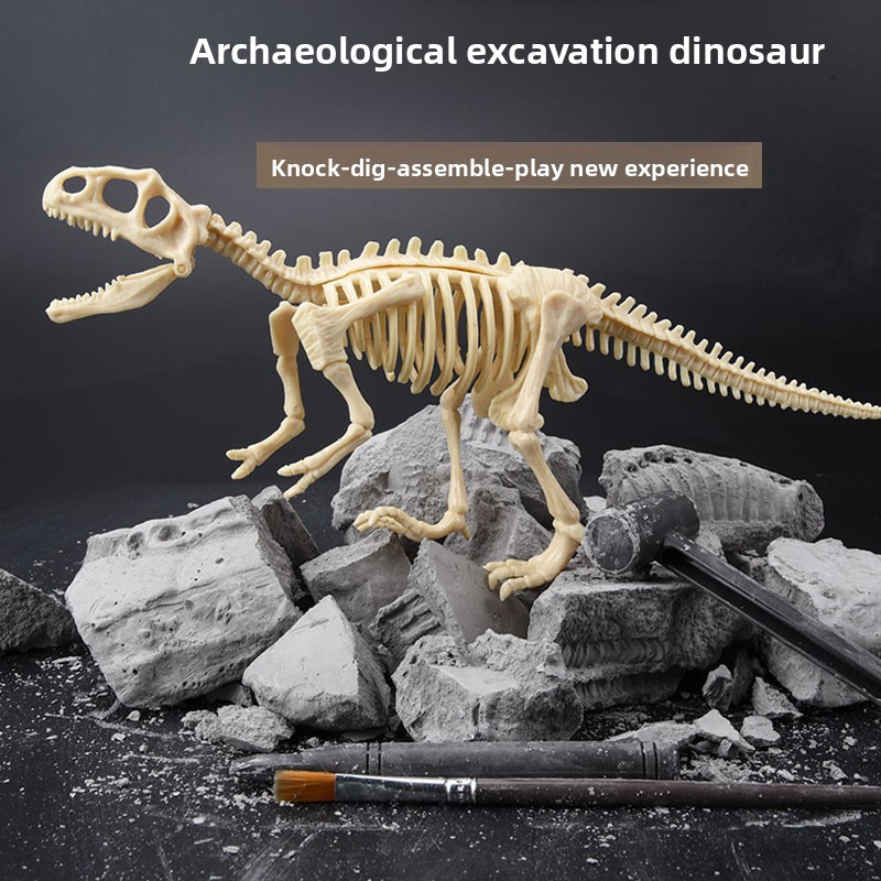 공룡 화석 발굴 키트 STEM 공룡 골격 모형 장난감  - Science Toys 리뷰 및 가격